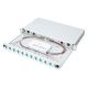 13. FO patch panel with equipment 19'' 1U, 12x LC dx, OM3, pigtails, adapters, trays, sliding, gray