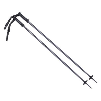 ALPINE SKI II poles