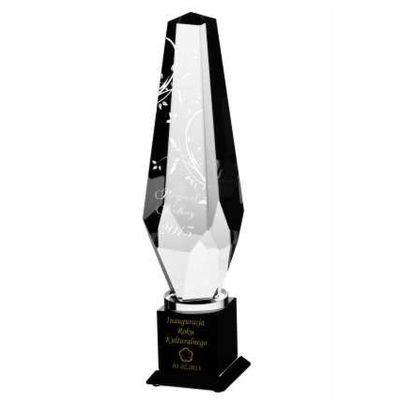 Engraved glass trophy with case + paint filling