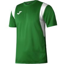 Joma Dinamo T-shirt 100446.450