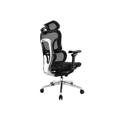 2. Equip Ergonomic Office Chair + Headrest/Armrests Lite Retail