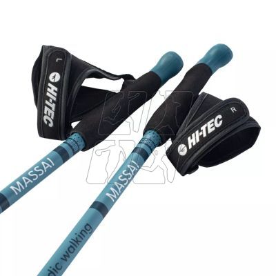 2. Nordic Walking Hi-Tec Massai poles 92800406656