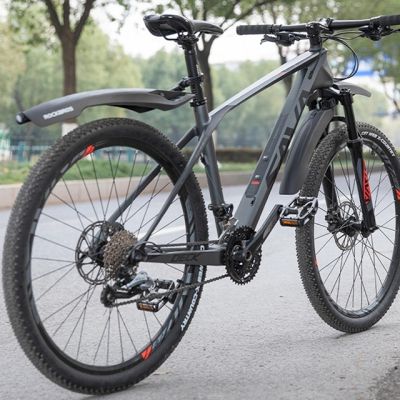 4. Rockbros DNB8001BK Mudguard with Red LED Light - Black