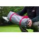 6. Coleman Bedrock 2 2-person tent - gray