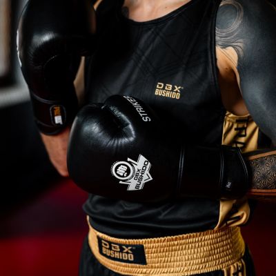 3. 10oz Boxing Gloves - Striker - Legacy Series