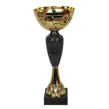 Triumph Cup 1854