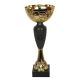 Triumph Cup 1854