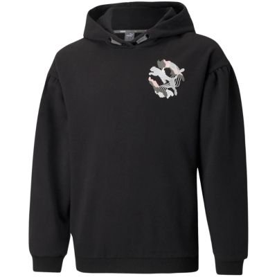 5. Puma Alpha Hoodie FL Jr sweatshirt 589232 01