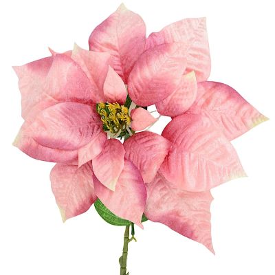 4. Poinsettia 30 cm, pink