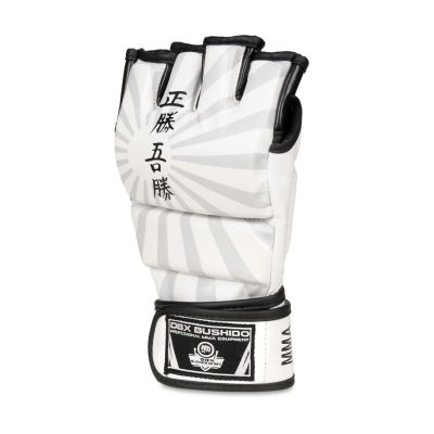 3. MMAM Gloves - Japan - Valor Series