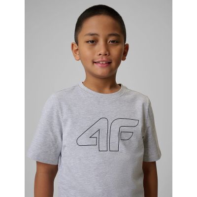 3. Boy's regular printed T-shirt 4F 4FJRSS26TTSHM3599-10S