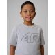 3. Boy's regular printed T-shirt 4F 4FJRSS26TTSHM3599-10S