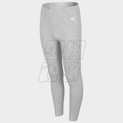 6. Leggings 4F Jr HJL22-JLEG001 27M