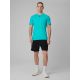 6. Men's quick-drying regular training T-shirt 4F 4FRSS26TFTSM2343-11M