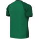 2. Nike Dri-FIT Trophy VI Kids' T-Shirt Green HV8158 302