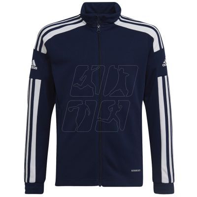 Adidas Squadra 21 Training Jacket Jr HC6276