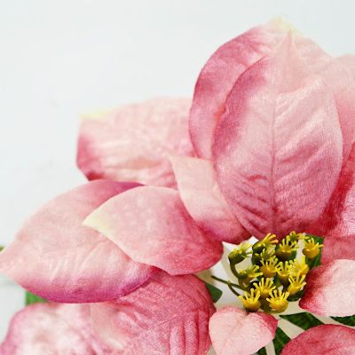 5. Poinsettia 30 cm, pink