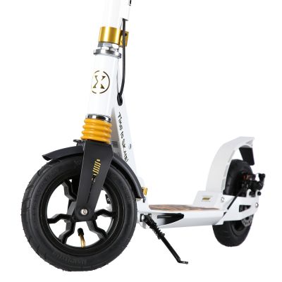 10. HM209T WHITE-GOLD SCOOTER WITH DISC BRAKE NILS EXTREME