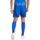 8. Adidas Tiro 24 Competition Training M shorts IQ4755