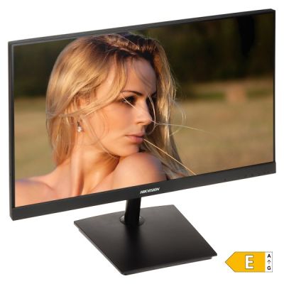 Hikvision DS-D5024F2-AP2 monitor