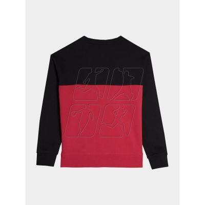 2. 4F Jr sweatshirt 4FJAW23TSWSM630-20S