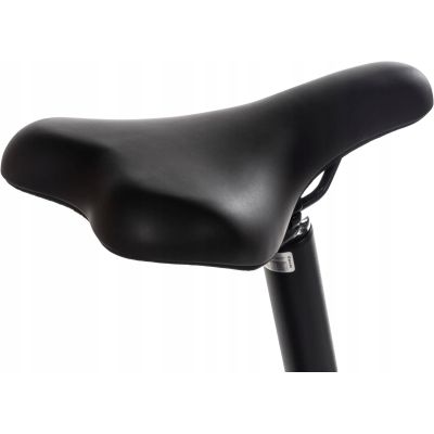 Snapp City-E Graphite Folding Electric Bike