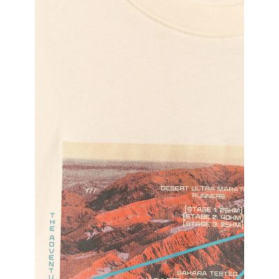 6. Men's regular printed T-shirt 4F 4FRSS26TTSHM4238-11S