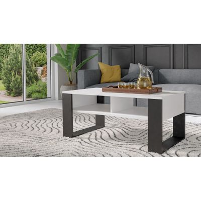 2. Coffee table MODERN 2P 90x58xH50 white/black