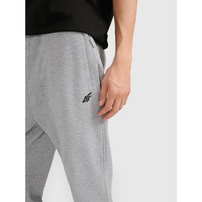 5. Men's jogger sweatpants 4F 4FRMM00TTROM1624-27M