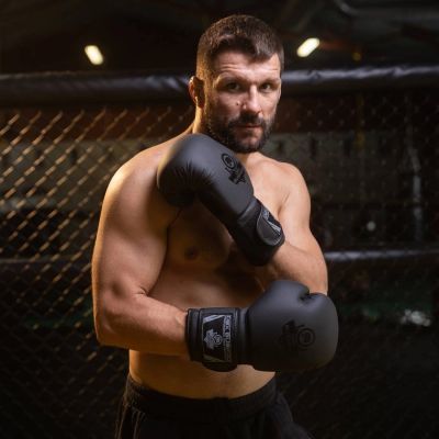 2. 10oz Boxing Gloves - Black Master - Valor Series