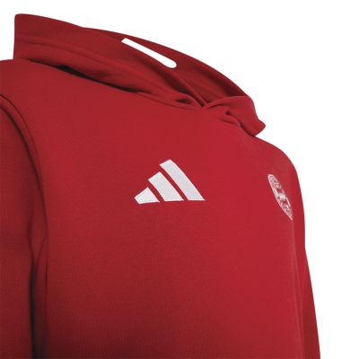 3. adidas FC Bayern Hoodie for Kids KG2566