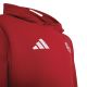 3. adidas FC Bayern Hoodie for Kids KG2566
