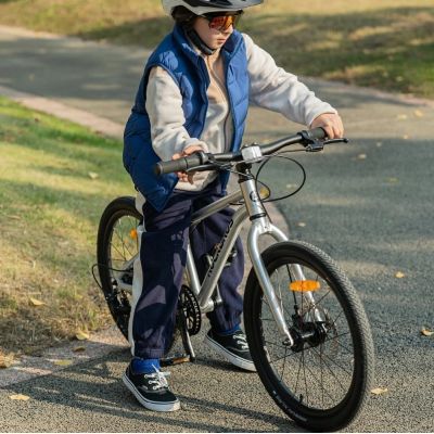 3. ROCKBROS bicycle model DARWIN 20 inch shock absorber