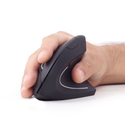 6. GEMBIRD MUSW-ERGO-01 mouse (optical; 1600 DPI; black)