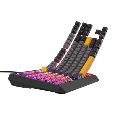 30. GENESIS Thor 230 TKL Gaming Keyboard USB + RF Wireless + Bluetooth QWERTY Black, Gray, Orange