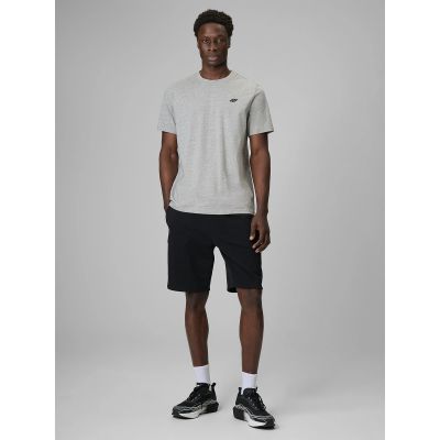 4. Men's sweatpants 4F 4FRSS26TSHOM0970-20S