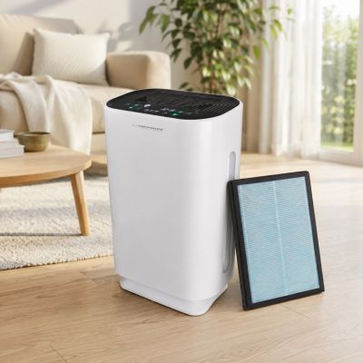 30. ESPERANZA BORA EHP003 Air Purifier