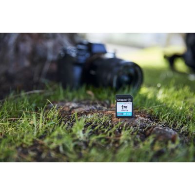 10. Kingston Canvas Go Plus SDG4/1TB Memory Card (1TB; Class U3, V30; Memory Card)