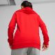 4. Puma Team Goal Casuals Hoody W 658621 01