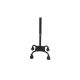 4. Quad cane