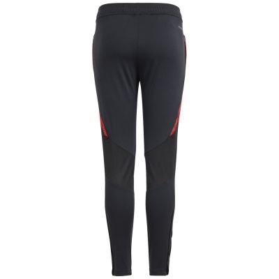 10. adidas Tiro 24 Competition Training Jr IS1638 Pants
