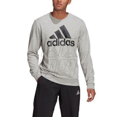 9. Adidas Essentials Sweatshirt M GK9077