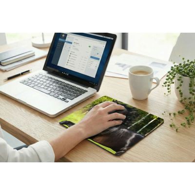 19. Esperanza Photo Mix Mouse Pad EA133