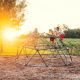 35. LIFETIME CLIMBING DOME GEODOME 90136