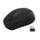 5. Esperanza Antares EM101K mouse (optical; 800 DPI; black)