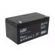 AGM Gel Battery for Vehicle 24V10AH Battery