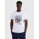 Men's regular printed T-shirt 4F 4FRAW25TTSHM3364-10S