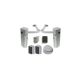 NICE WALKY 2024 ERA ONE set for swing gates