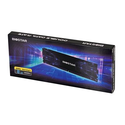 6. DDR4 Biostar 8GB 3200MHz Heatsink Storming Vseries memory