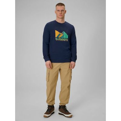 6. Longsleeve with print for men 4F 4FRAW25TLONM618-31S